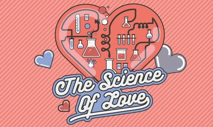 The Science Of Love