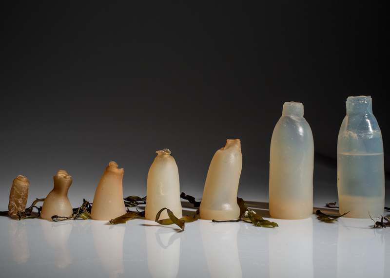 Biodegradable Water Bottles made by Algae