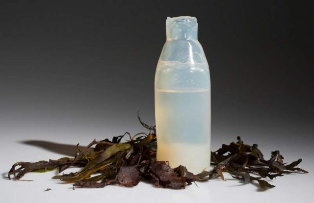 Biodegradable Water Bottles made by Algae 