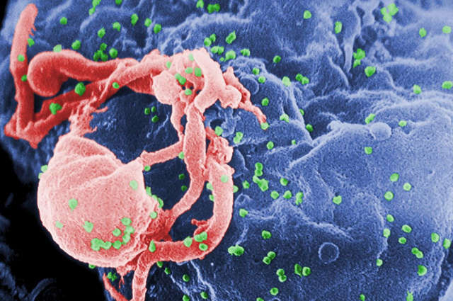  HIV-1 Genomes