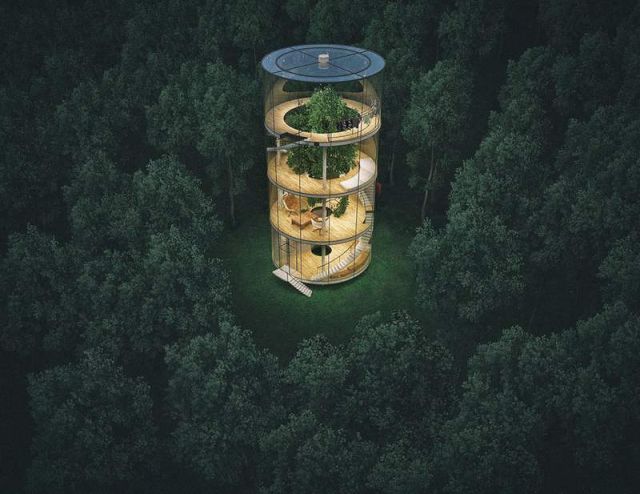 Tubular Glass House built around Tree