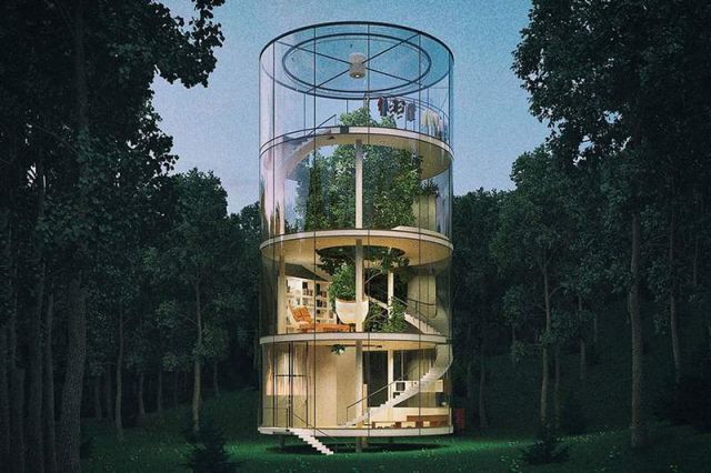 Tubular Glass House built around Tree (6)