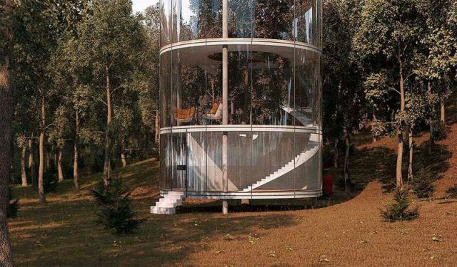 Tubular Glass House built around Tree (5)