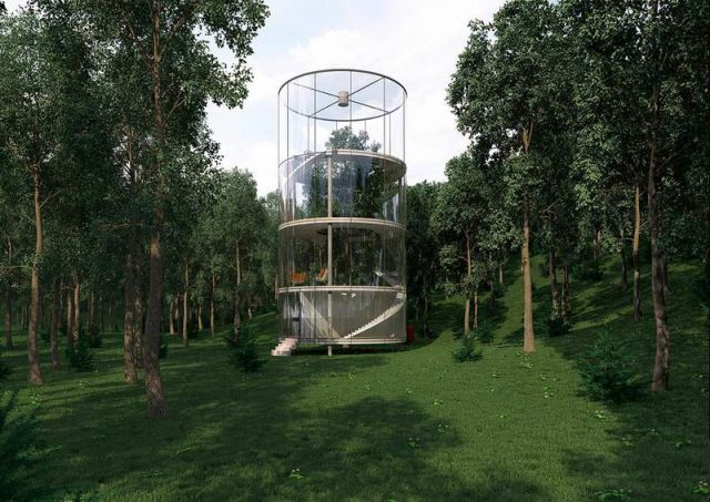 Tubular Glass House built around Tree (2)