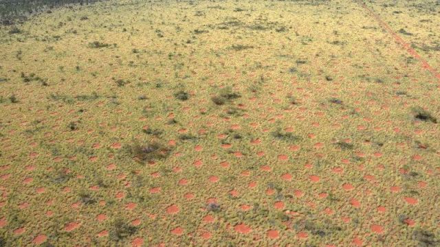 Fairy Circles in Australia