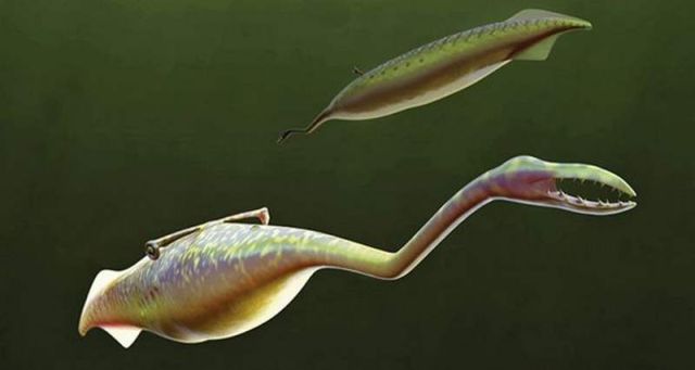 Tully monster prehistoric sea creature (3)