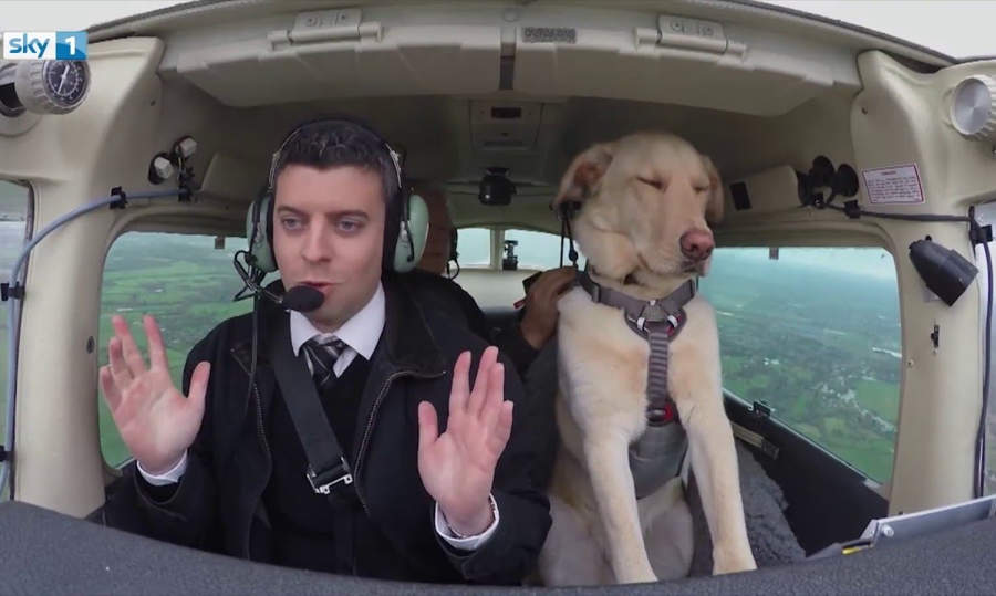 A Dog Flying a Plane