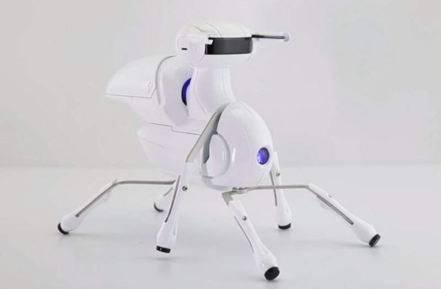 Antbo- an Insect Robot Anyone Can Build  