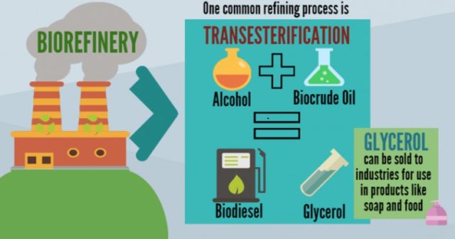 Everything about Bioenergy 