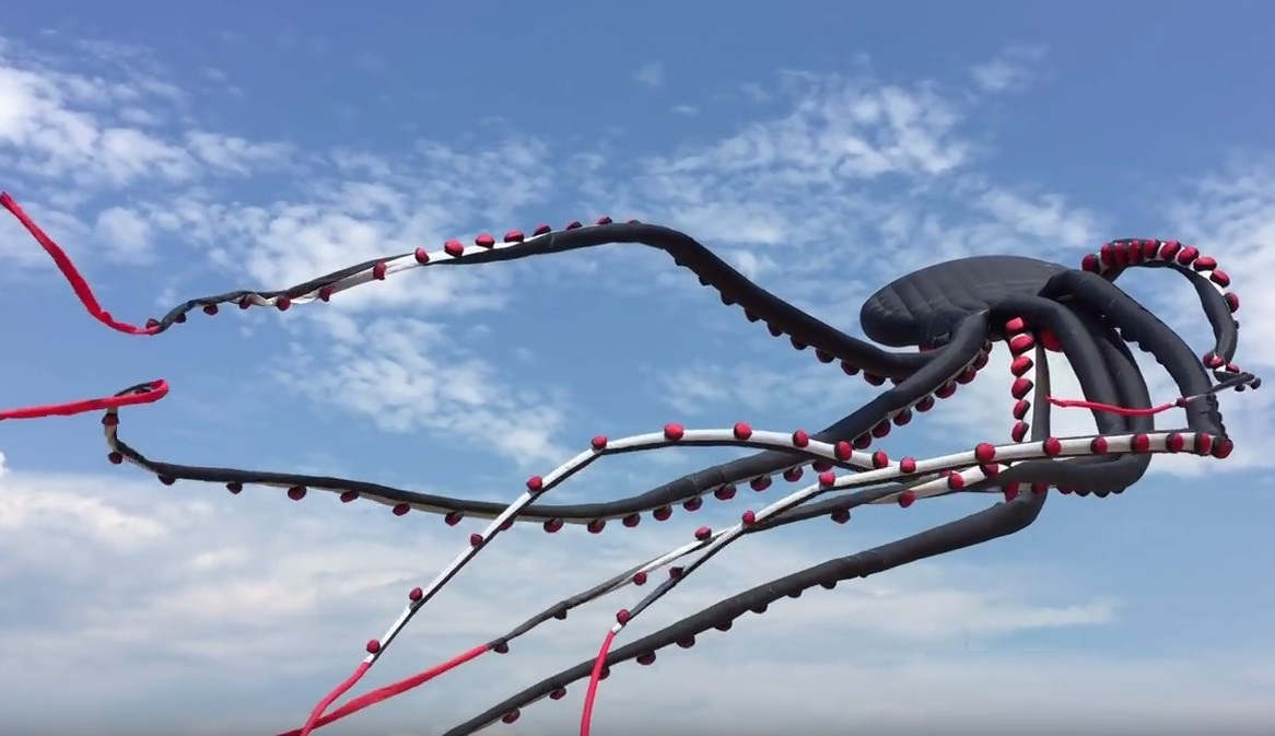 Giant Octopus Kite flying