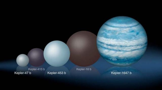 Comparison of the relative sizes of several Kepler circumbinary planets