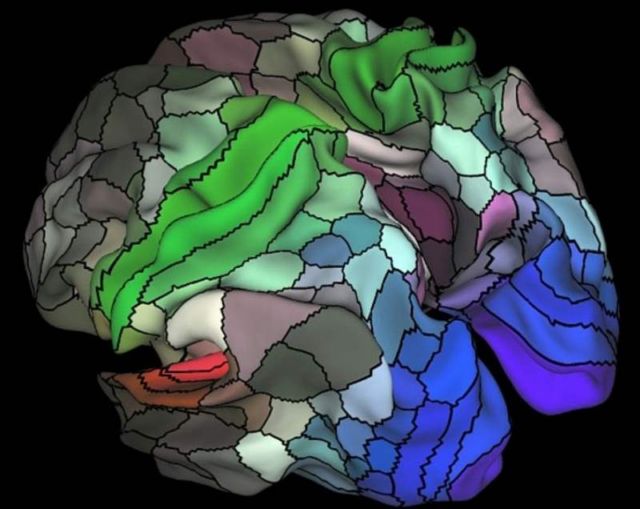 97 new regions in our Brain