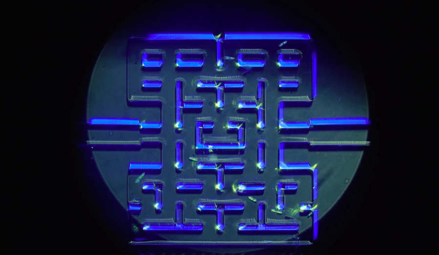 A microscopic game of Pac-Man