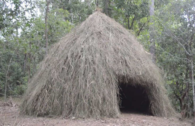 Grass Hut 