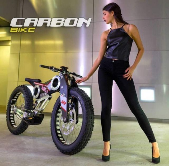 New Carbon SUV e-bike (4)