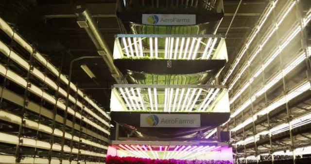 World's Largest Vertical Farm (1)