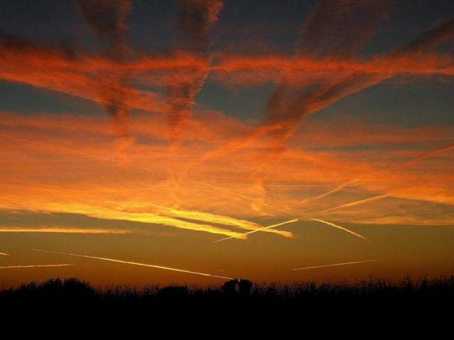 Chemtrail Conspiracies are Fake (1)