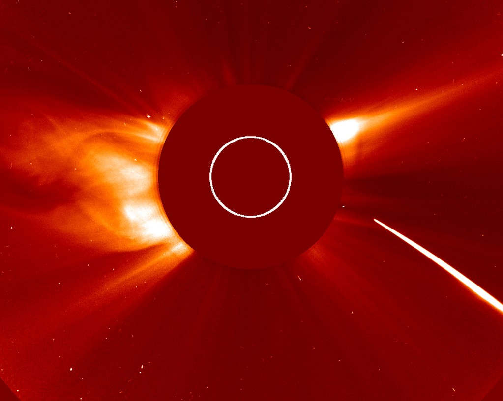 See a Bright Comet swallowed by the Sun 1