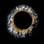 Oil Spill Exploration of Iridescence 4 Oil Spill by Fabian Oefner (3)