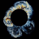 Oil Spill Exploration of Iridescence 5 Oil Spill by Fabian Oefner (2)