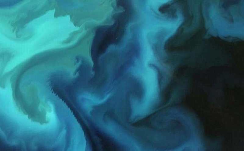 Plankton Bloom in the Barents Sea