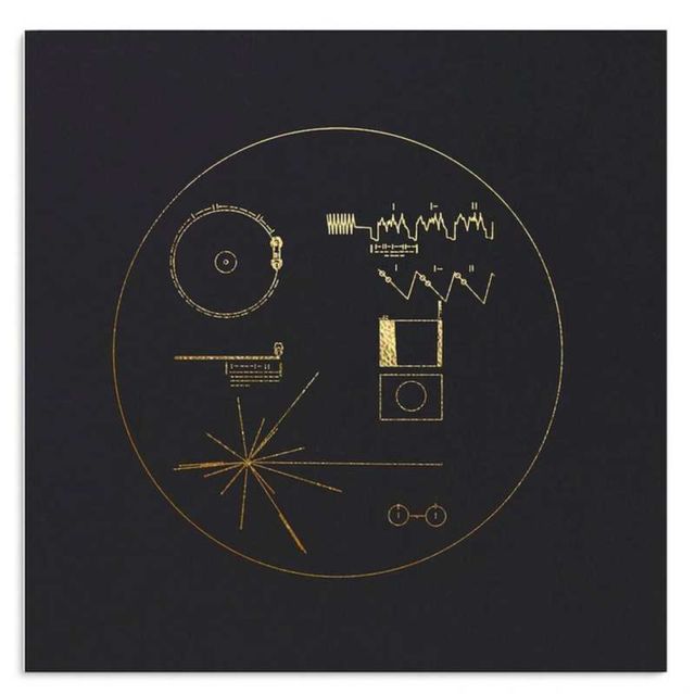 Voyager Golden Record- 40th Anniversary Edition (2)