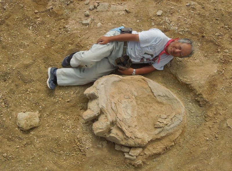 Dinosaur Footprint among largest on record discovered 1