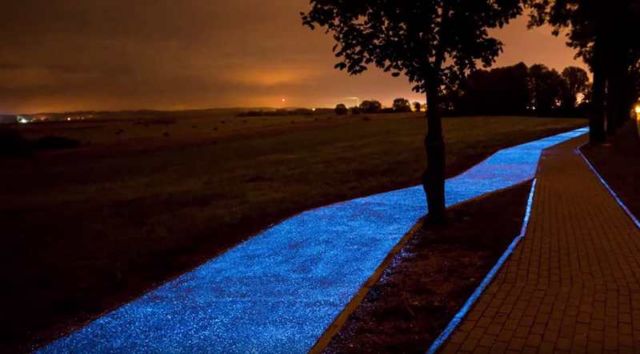 Glow-In-The-Dark Bicycle Path (3)