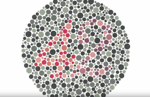 how-color-blind-people-see-the-world-1