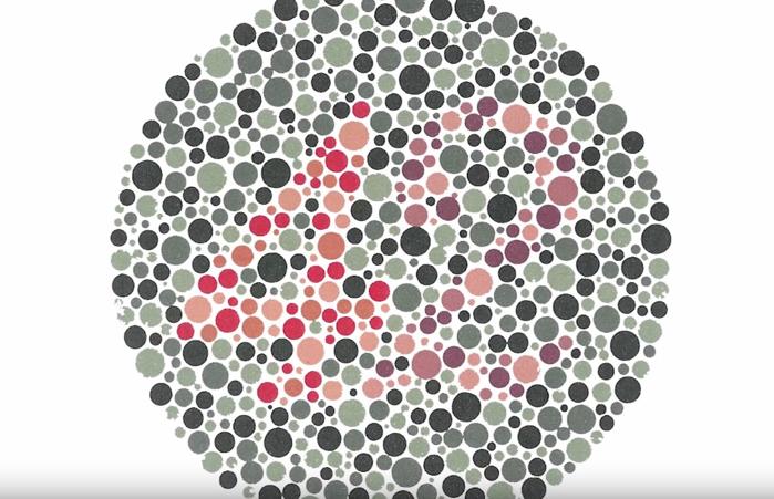 How Color Blind People see the World 1
