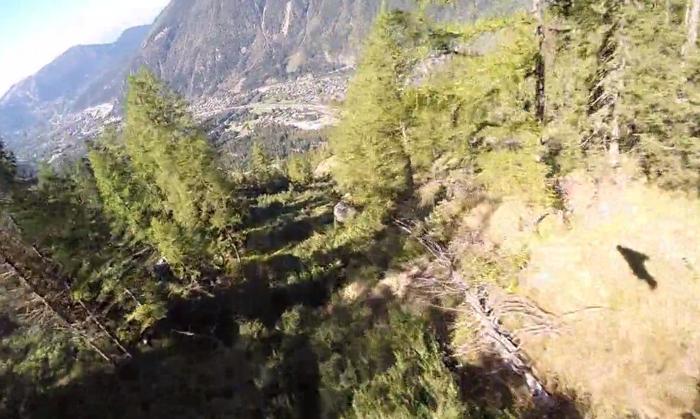This guy survives a BASE jump wingsuit through tree 1