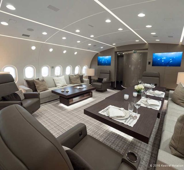 787 Dreamliner purchased as a private jet (3)