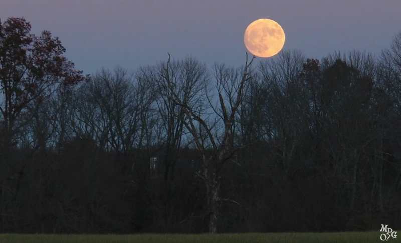 The largest Supermoon in 68 years