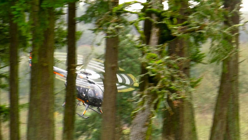Amazing Helicopter carrying Christmas Trees 1