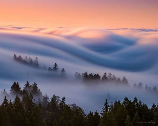 Fog Waves by Nick Steinberg (5)