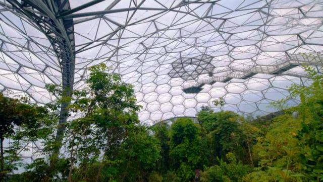 Eden Project (5)