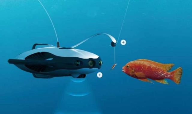 Underwater Drone That Detects Fish 