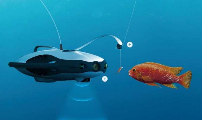 Underwater Drone That Detects Fish