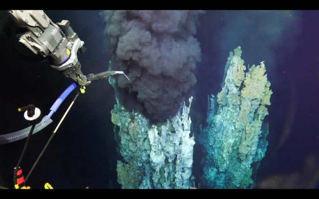 Unexplored Ocean Depths in Extreme Life Conditions (2)