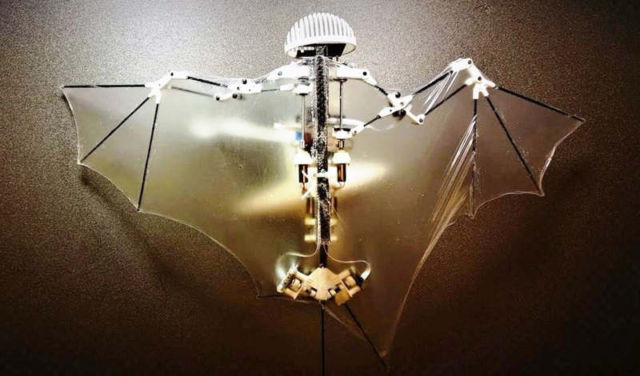 Advanced Robotic Bat can Fly like the Real One (1)