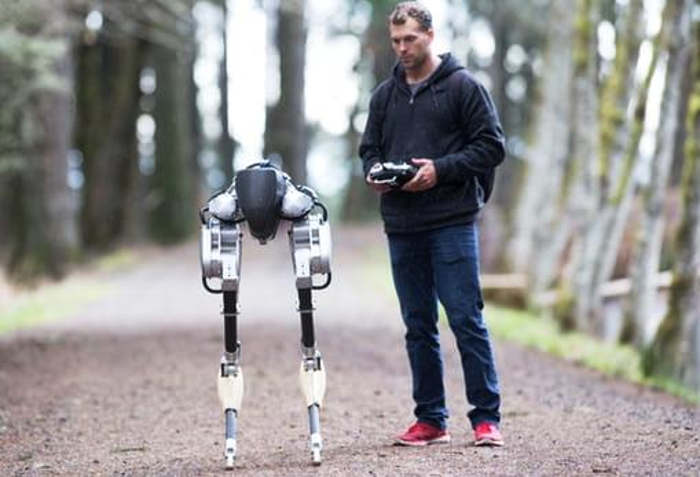 The first steps of new Walking Robot