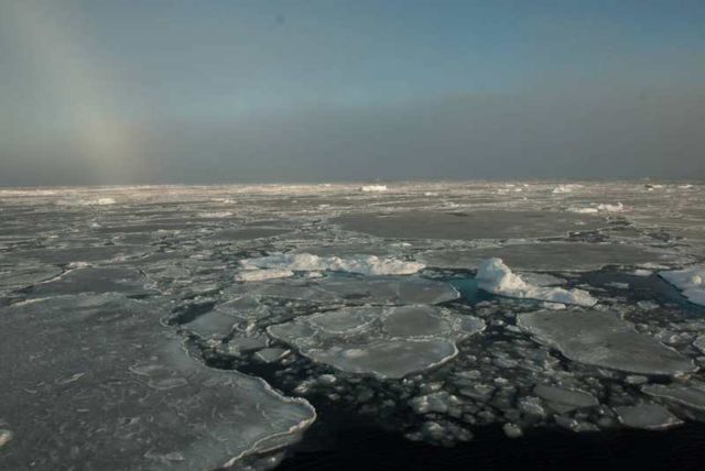 Summer Arctic Sea Ice