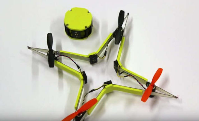 Insect-Inspired Drone