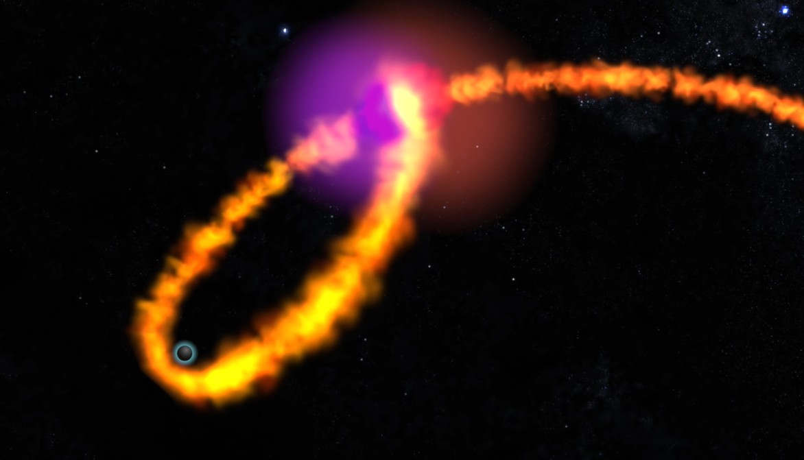 Star’s death into a Black Hole