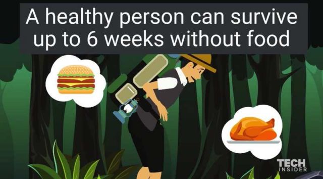 5 survival myths that could get you killed