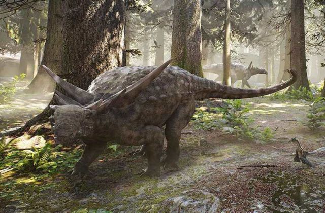 110 Million-year-old Dinosaur nodosaur (1)