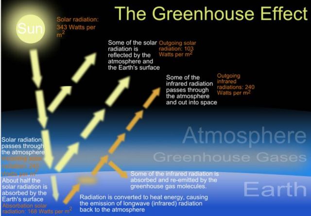 100 companies are responsible for 71% of Global Greenhouse