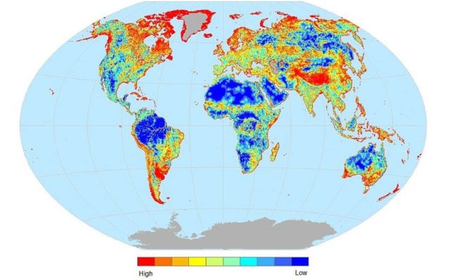 Map reveals the areas where Animals are at risk of Extinct