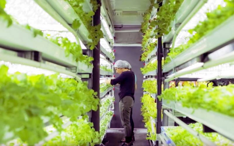 Shipping-container farm