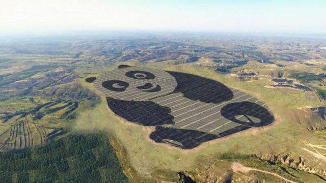 World’s most adorable solar farm in China 